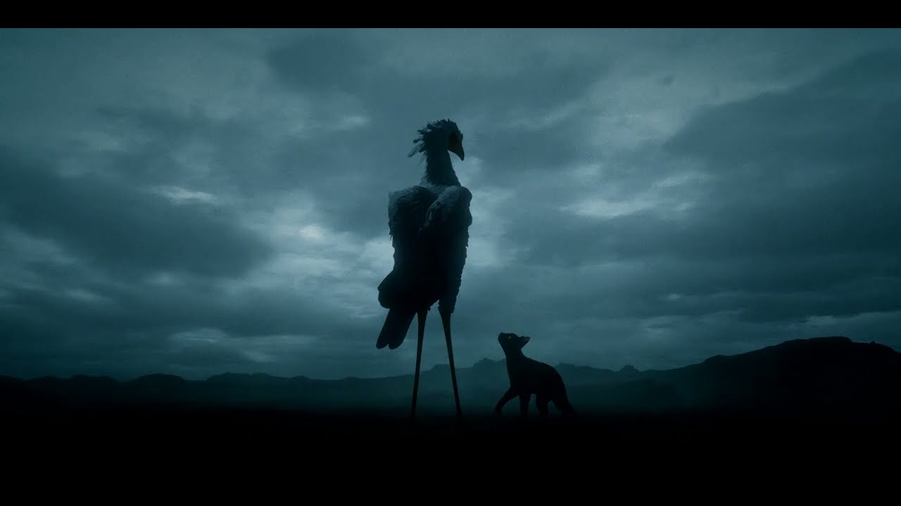Flow (2024) &ndash; The secretary bird ascends [HD]
