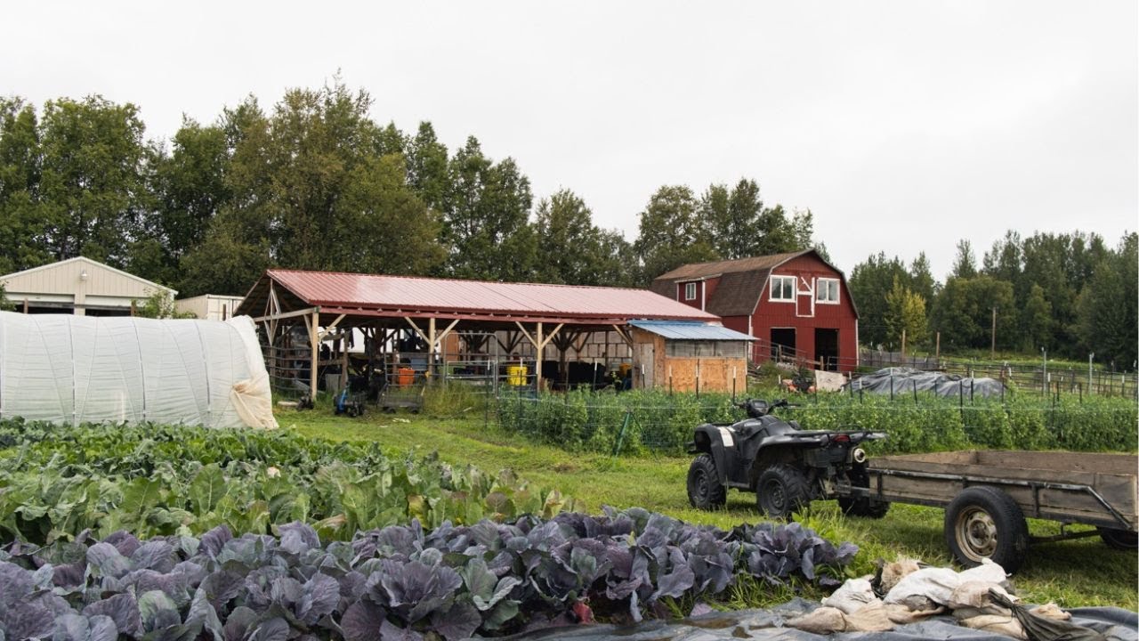 Sun Circle Farm: An Alaskan Organic Producer Profile