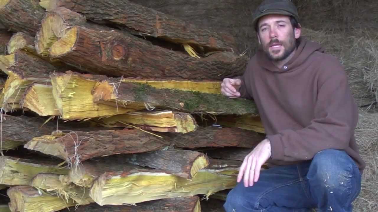 Osage: Harvesting & Splitting