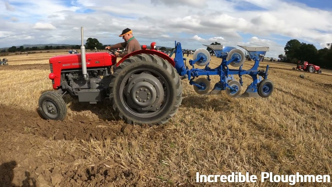 1961 Massey Ferguson 65 3.3 Litre 4-Cyl Diesel Tractor (58HP) with Ransomes Salopian Ebry Wood 2021