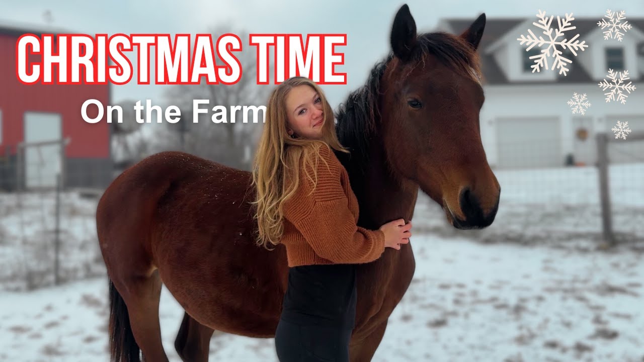 Spending Christmas Time with the Farm Animals 🎄✨