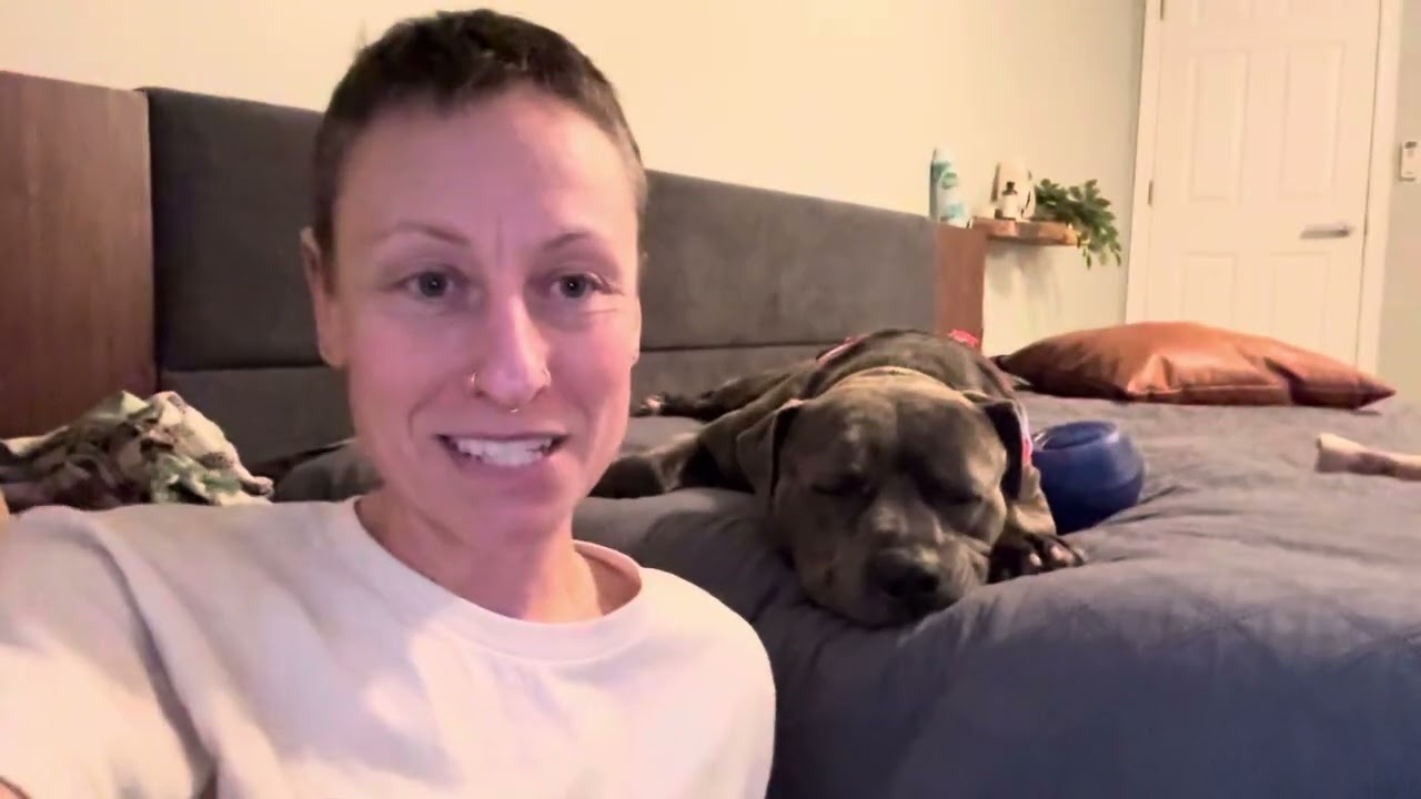 Pupdate on the Rescued Pittie- Day 3 After Trapping Him