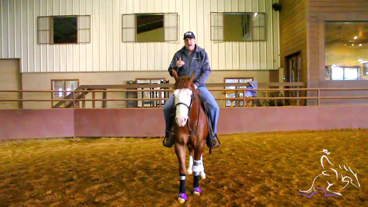 Reining Horse Training - Collected or not Collected in Spins with Tom McCutcheon