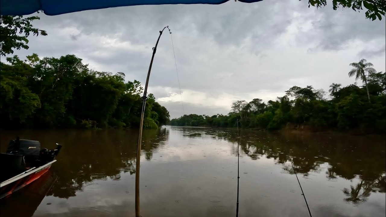 PESCARIA,RIO SUJO E CHEIO , MUITA CHUVA E TROVOADA MAS O PEIXE SAIU  !!!