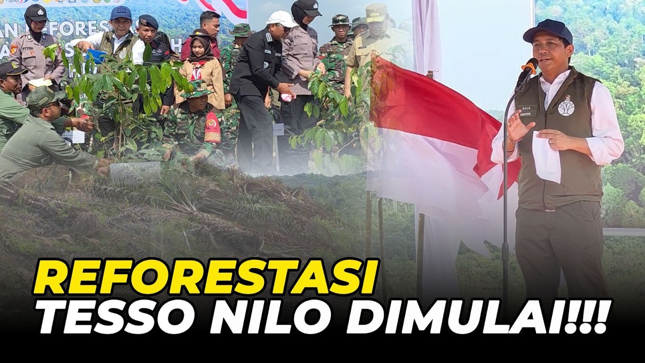 KABAR GEMBIRA!!! REFORESTASI TAMAN NASIONAL TESSO NILO DIMULAI!