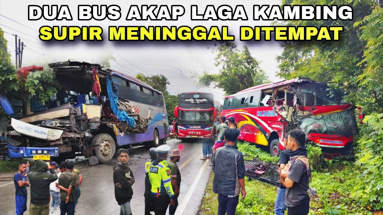 Supir Meninggal Di Tempat, Dua Bus AKAP Laga Kambing