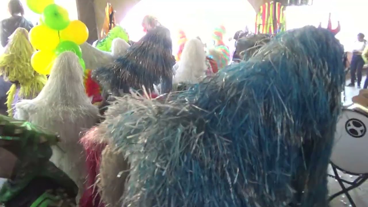 Carnaval 2025.