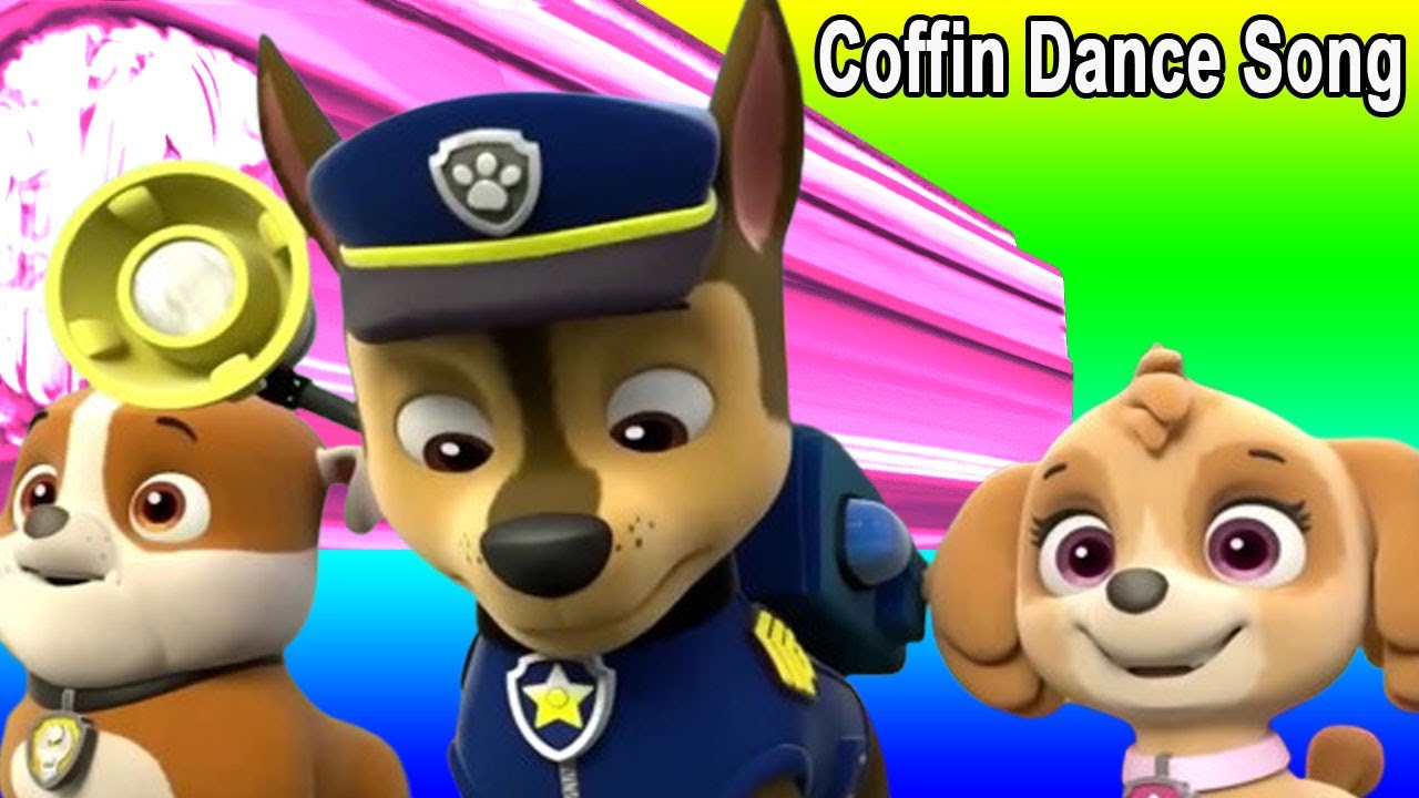 Paw Patrol - Coffin Dance Song Cover - Meme Song Cover Ep05
