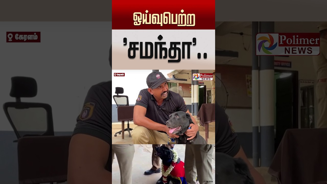 ஓய்வுபெற்ற  'சமந்தா'.. #shorts #dog  #retirement