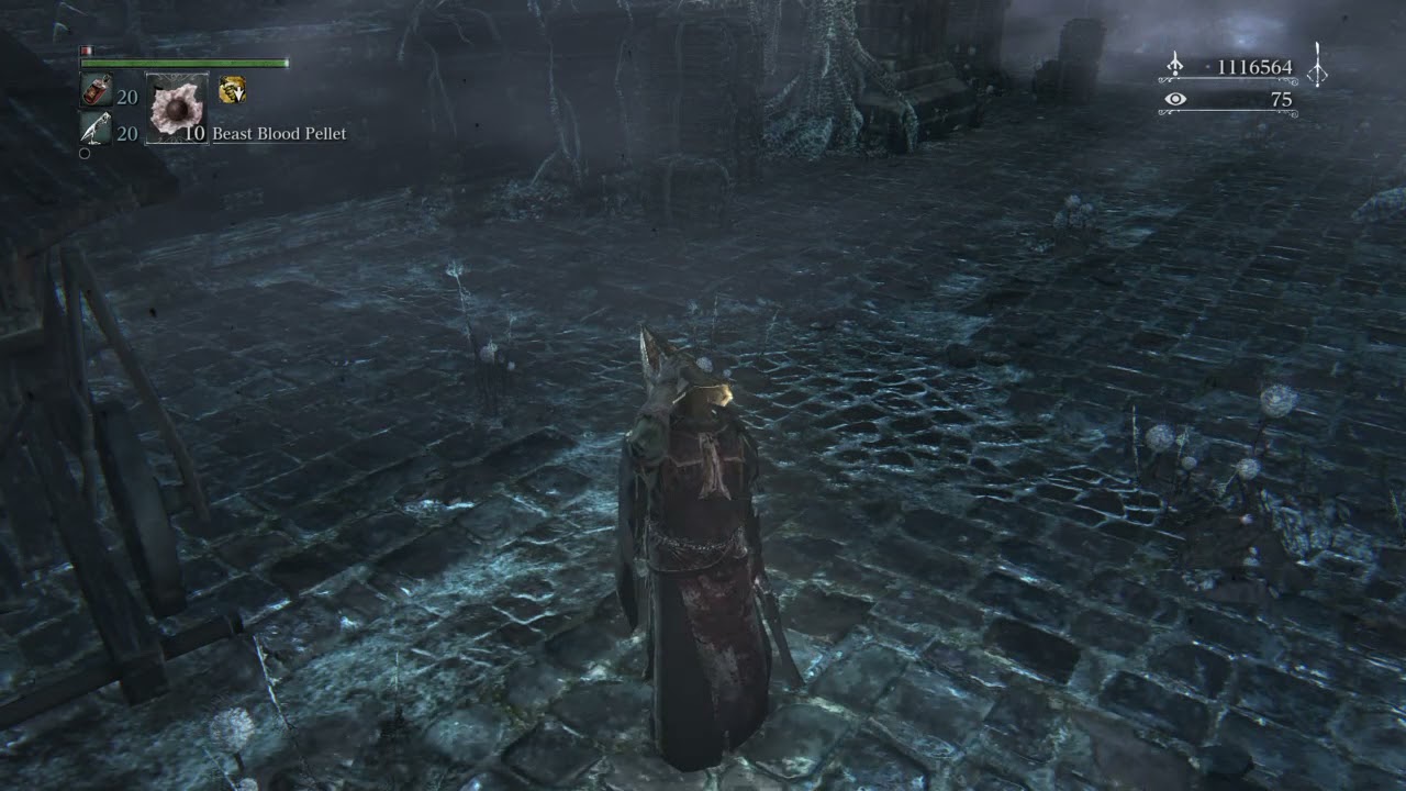 Bloodborne™ This dungeon has the best ECHO farming  loop 1 million echos per minute