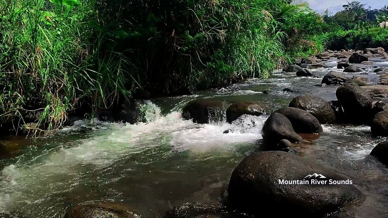 Fall Asleep Fast with Soothing River Sounds for Better Deep Sleep Tonight