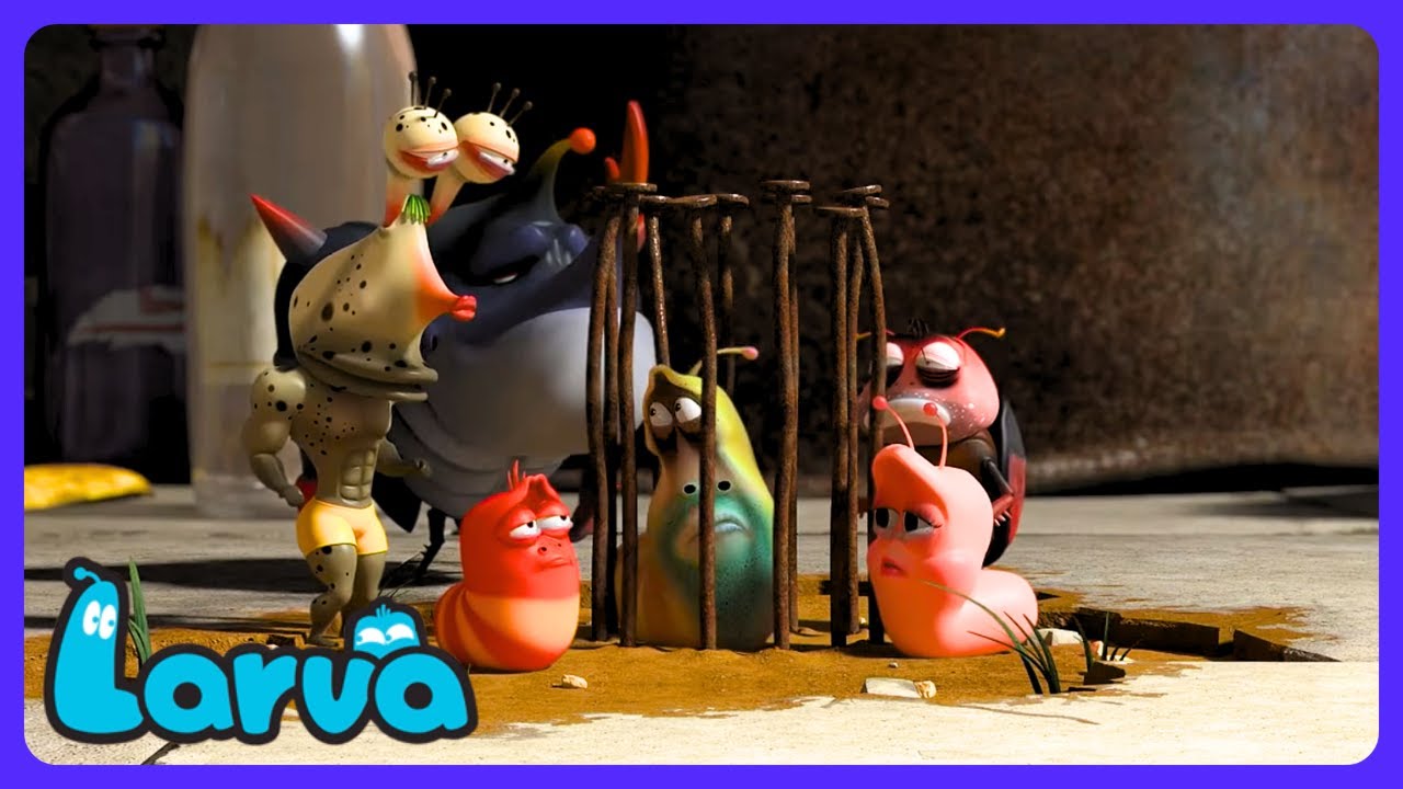 Larva - Super duizelig in een blik! | Kindertelevisie | WildBrain Circus - Nederlands