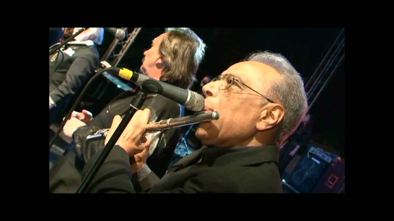 Les Petits Chats band - Annie's Song HD