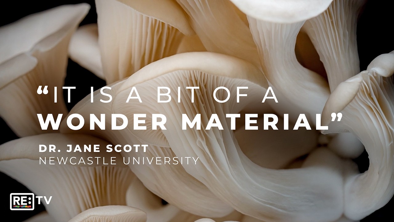 Dr Jane Scott: Building A Waste-Free Future With Mycelium