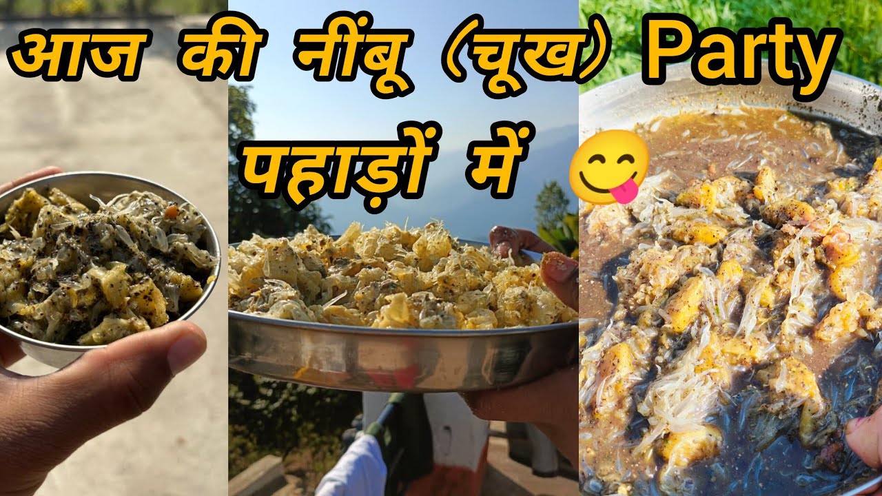 आज की नींबू (चूख)😋 party पहाड़ों🏔️⛰️ में अपनी गैंग के साथ 🥰🌸#pahadilifestyle #uttakhandi #pahadi 