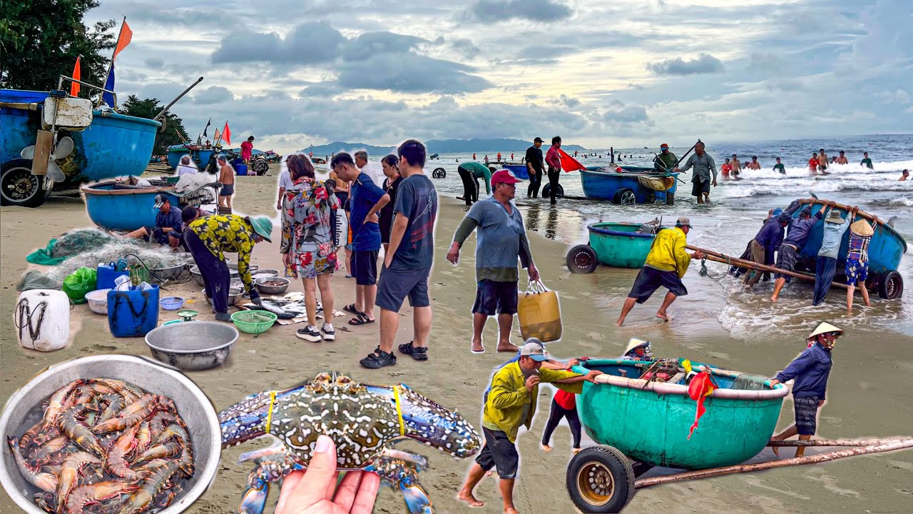Làng Chài Du Lịch Biển Chí Linh | Tắm Biển Mua Hải Sản Ăn Tại Bãi Biển
