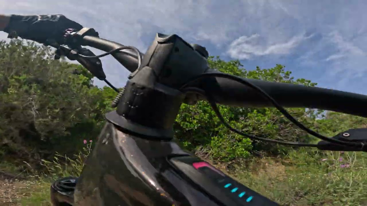 orbea wild enduro