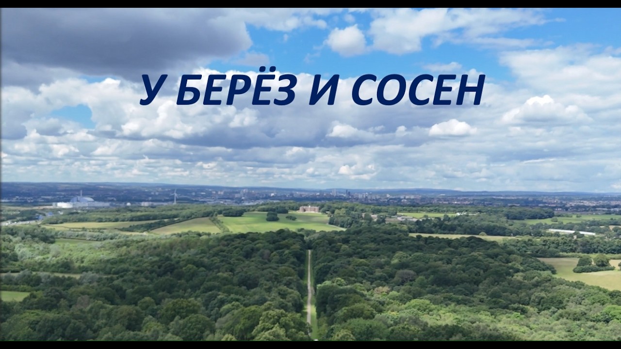 У БЕРЁЗ И СОСЕН — рок-баллада о любви | Новая кинематографическая версия