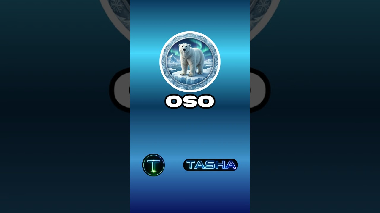 Oso - Tasha -