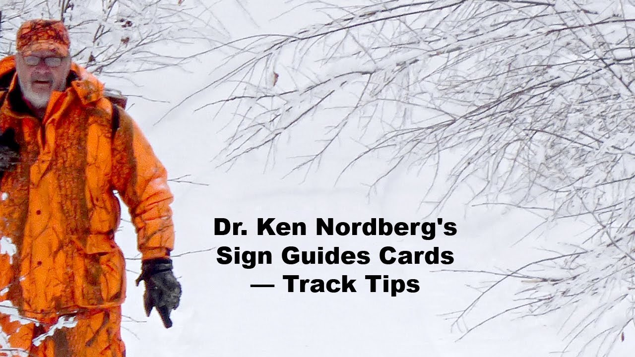 Dr. Ken Nordberg's Sign Guides Cards — Track Tips