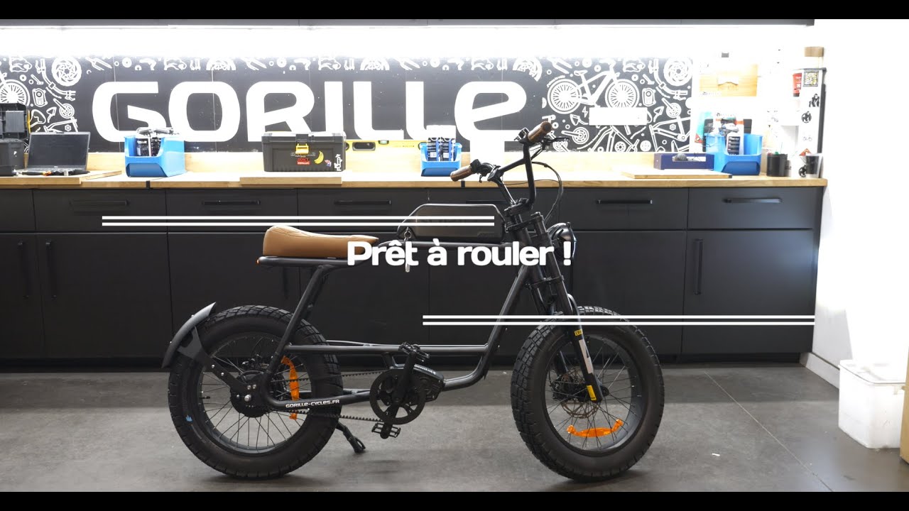 Guide : Monter son Kong Gorille