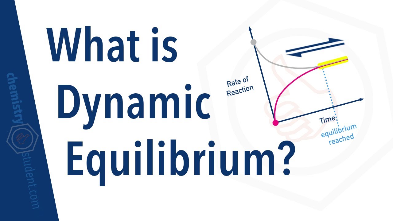 What is Dynamic Equilibrium?