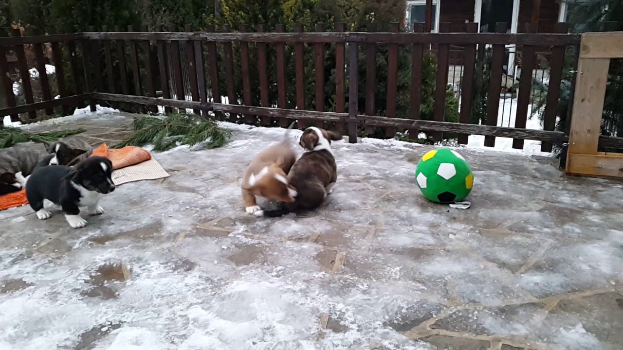 20170101 161248