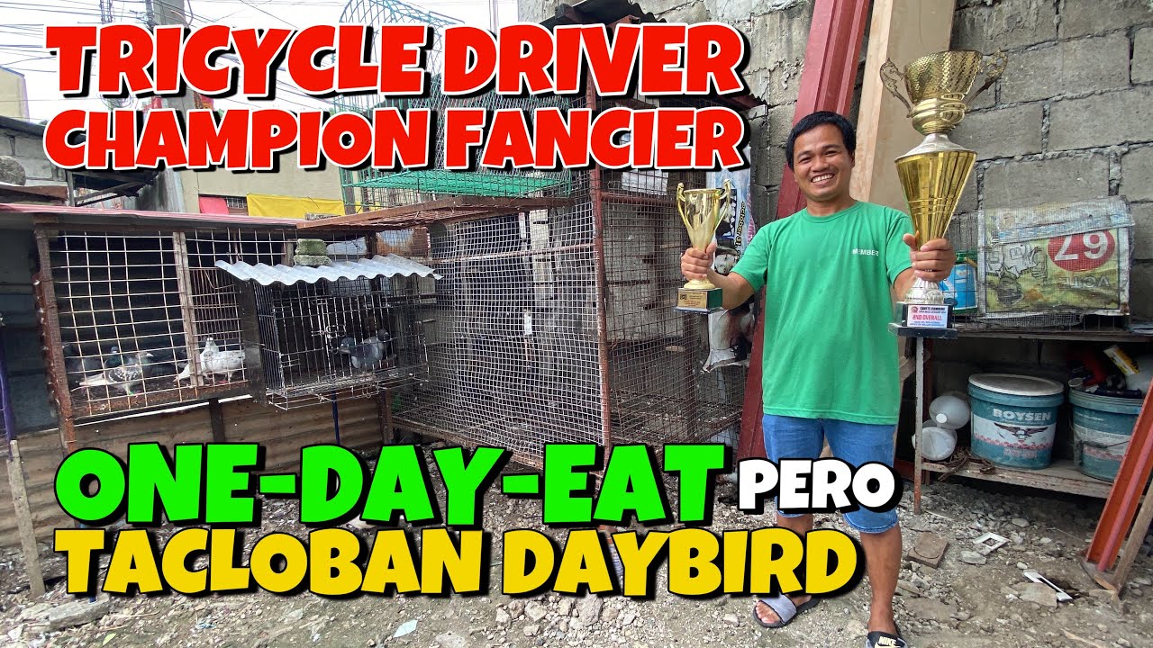 KUYANG TRICYCLE DRIVER, ISA PALANG CHAMPION FANCIER! 🏆