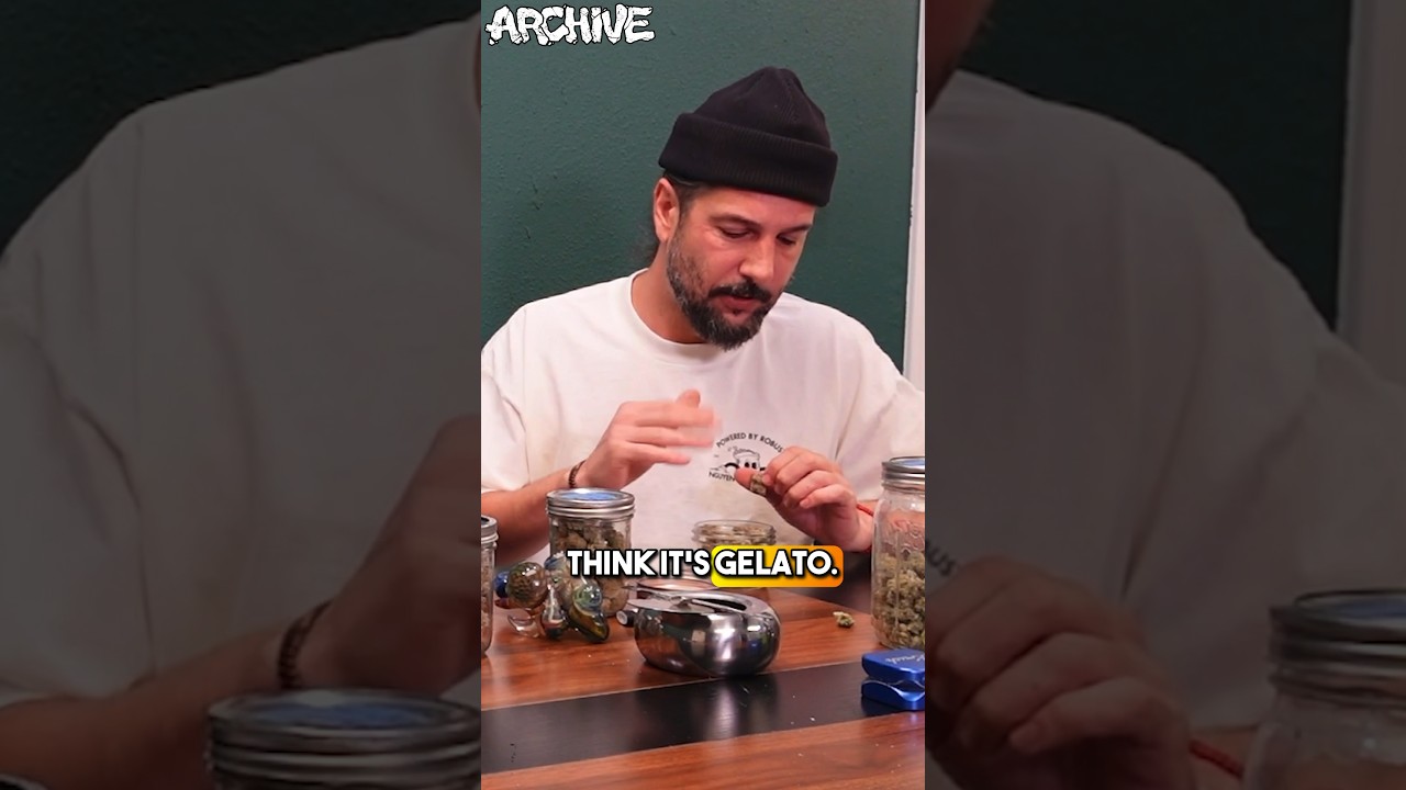 What are your thoughts on Gelato? #ArchiveTV #Gelato33 #Gelato41 #TheHeightsCo