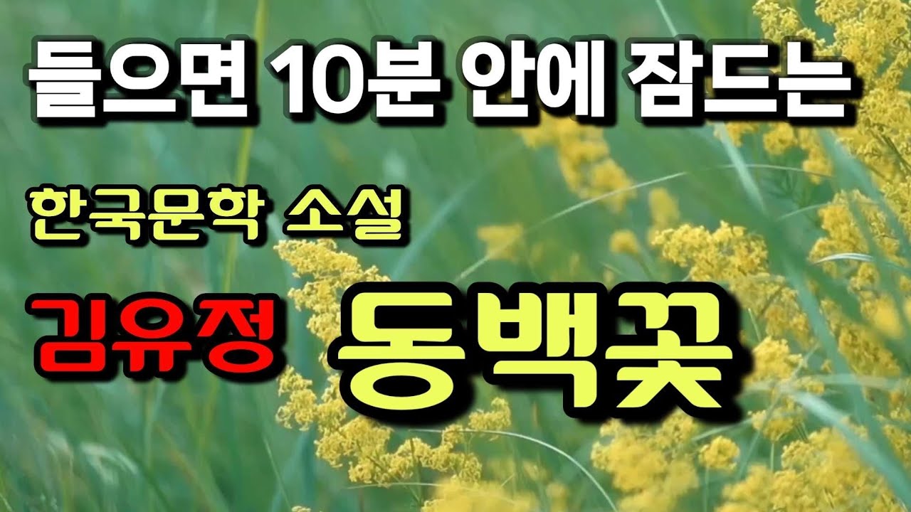잠잘때 듣기 좋은 문학 소설 | 책 들으며 잠들기 | 수면 낭독 | ASMR  