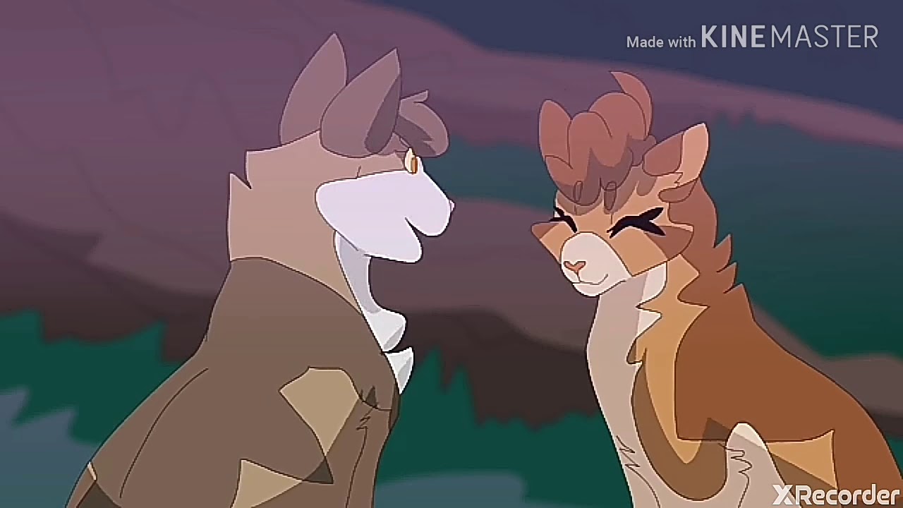 Warriors Cats - song ,, Stitches ''