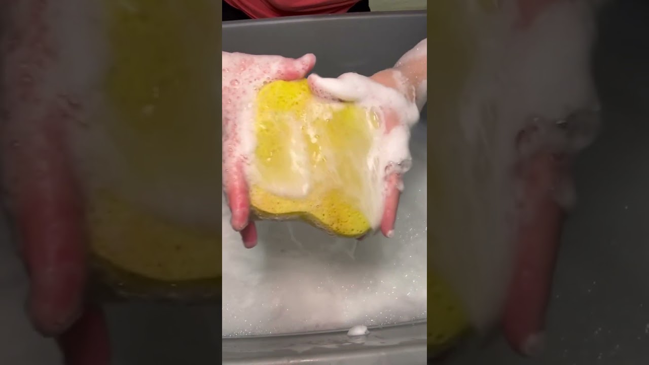 Rinsing a bunch of sponges | Satisfying sponge squeezing ASMR #oddlysatisfying   