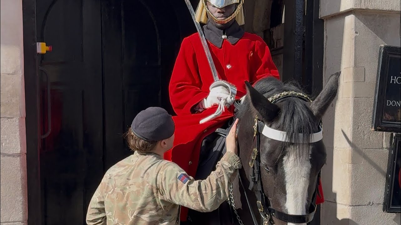 Magnificent Day at Horse Guards London!”