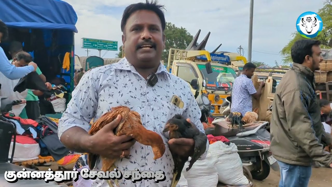 குன்னத்தூர் சேவல் சந்தை#tamilkaalai  வாரந்தோறும் திங்கட்கிழமை#குன்னத்தூர்ஆட்டுச்சந்தை