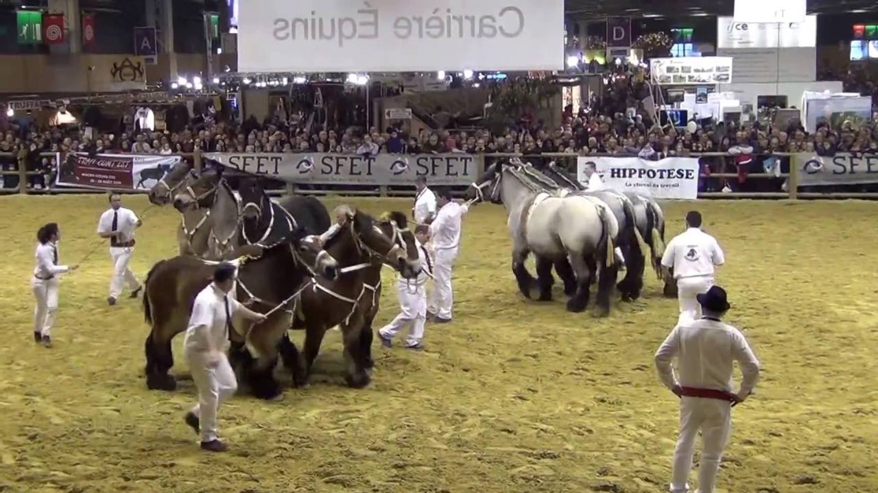 Bandes et Ailes du Moulin SIA 2016 Chevaux Traits Auxois, Trait Du Nord  et Ardennais