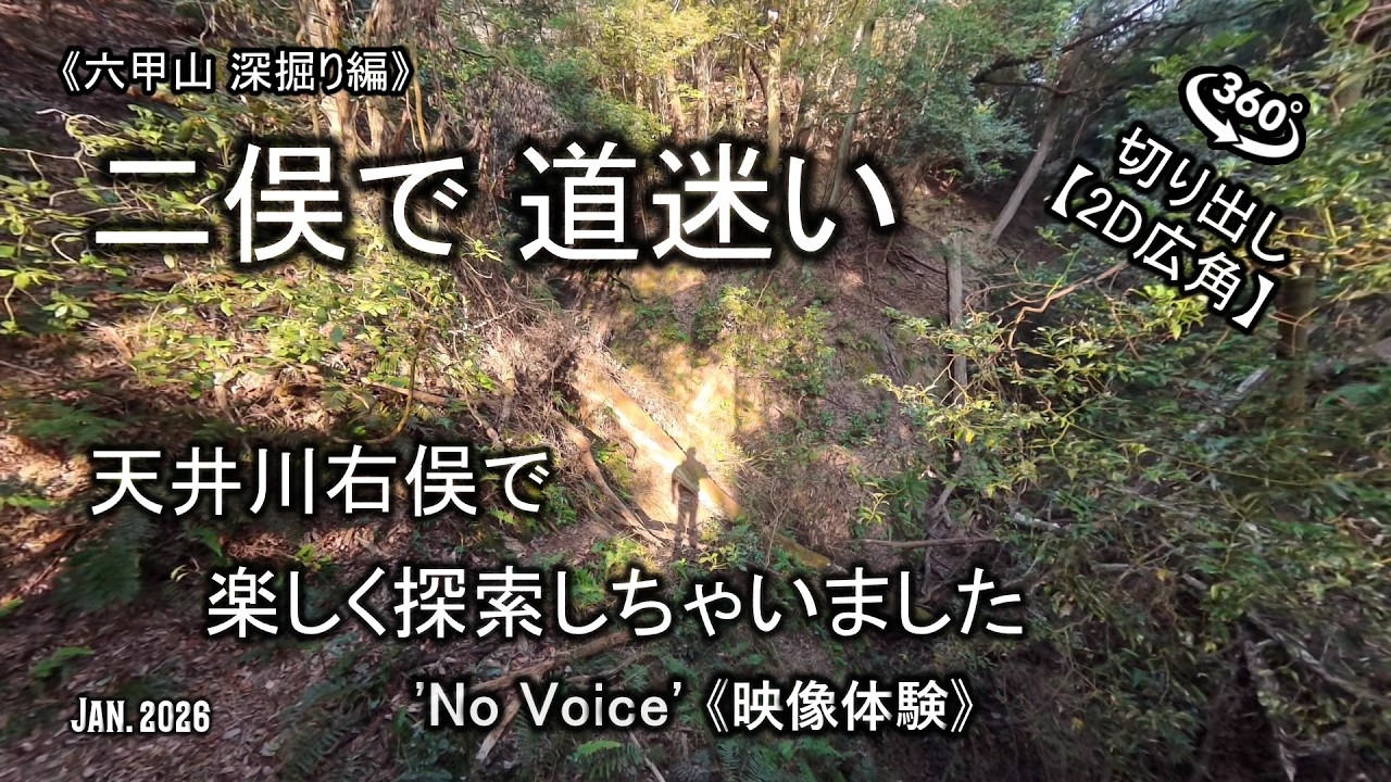 暗い谷にビビって ちょっと迷いました(´∀｀)【切り出し2D広角】(No Voice / Nature Sounds / POV) 天井川 右俣 六甲山  須磨アルプス 馬の背 谷 バリ山行