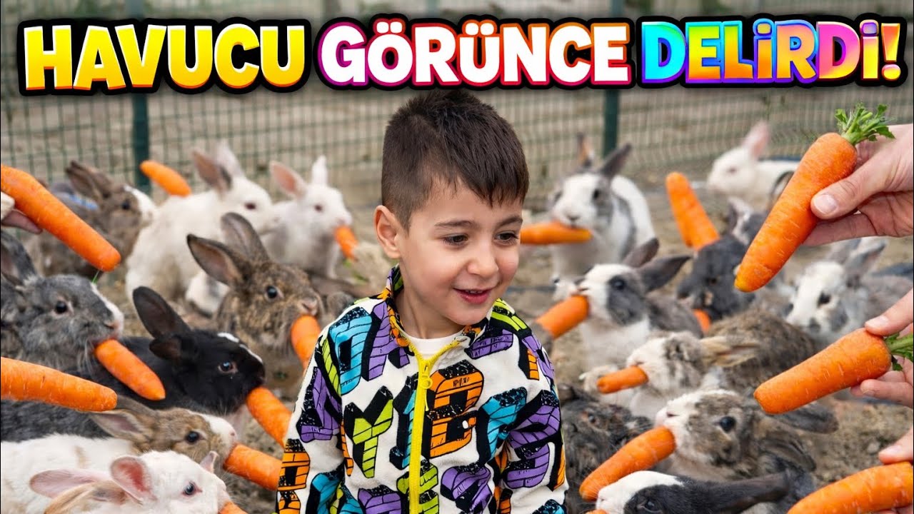 TAVŞANLARA HAVUÇ VERDİK! ÇOK MUTLU OLDULAR 🐰🥕