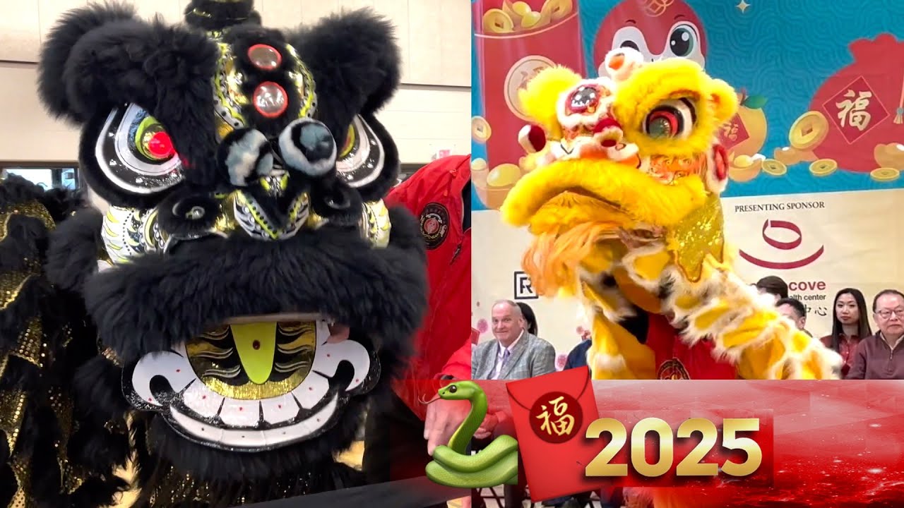 Танец льва в стиле Хун Гар, Бостон, США, 2025 год 🦁🐍 Год Змеи и игра на барабанах, мероприятие в ...