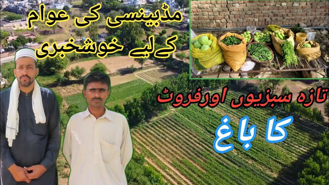 Fresh Vegetables & Fruits Garden || Cheapest Vegetable Place In Bangrilla || Mirpur Azad Kashmir