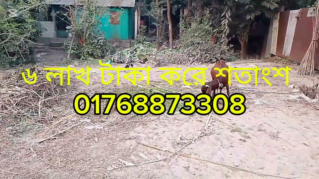 মাত্র ৬ লাখ টাকার শতাংশ চার শতাংশ জমি   বিক্রি  হবে কেরানীগঞ্জ রামেরকান্দা  01768873308#leanstartups
