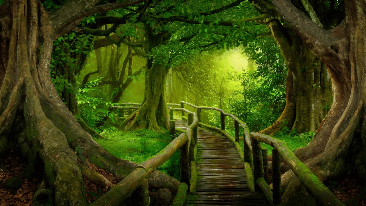 Enchanting Forest Music For Relaxation ༄ Celtic Fantasy Music Instrumental 🌳 The Unfading Forest