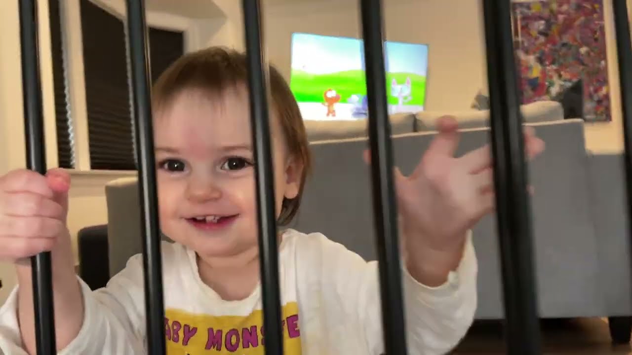 Baby/Child Gate (KidCo G2100 Angle Mount Metal Safeway Gate)