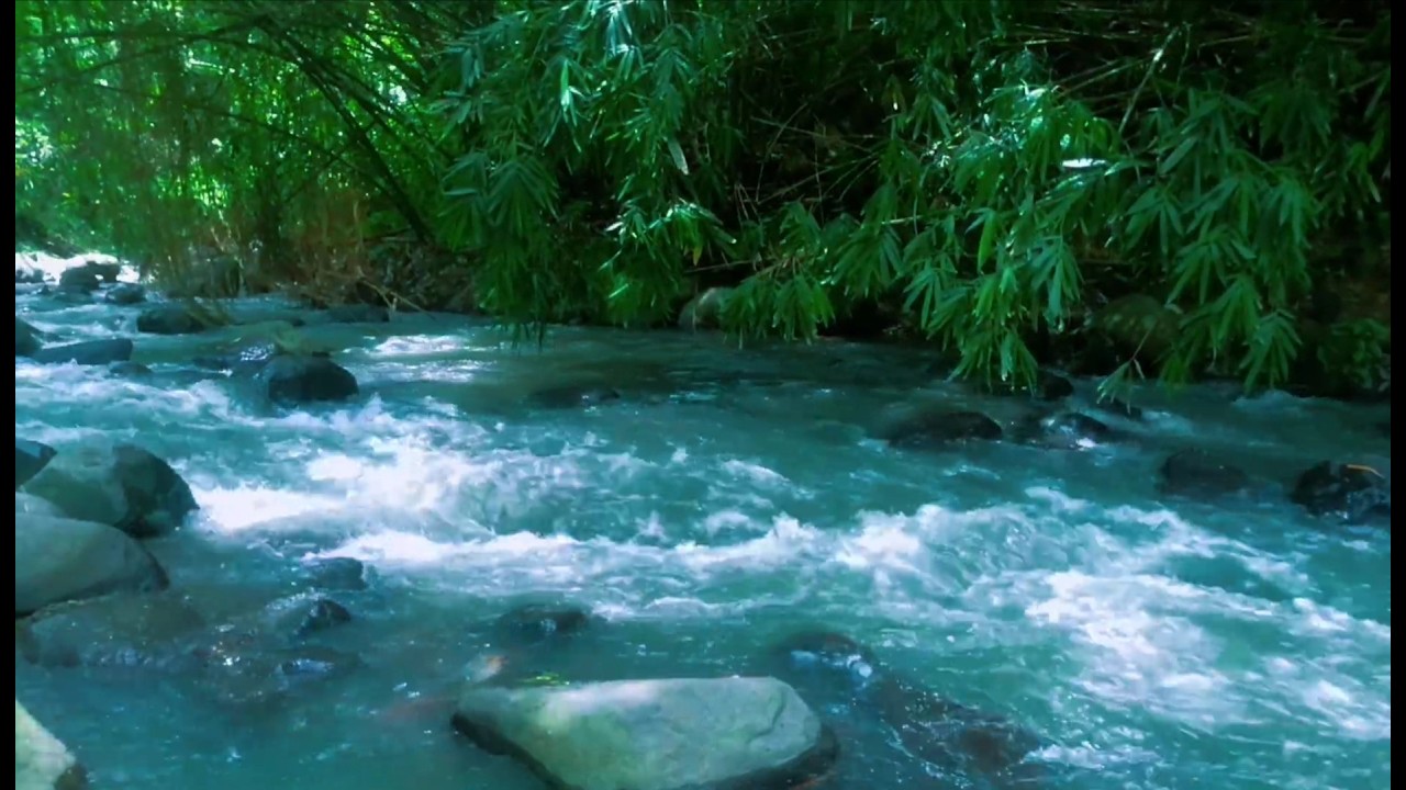 Beautiful Relaxing River  Nature Sounds Sleep Meditation Study Stress Relief Mindfulness