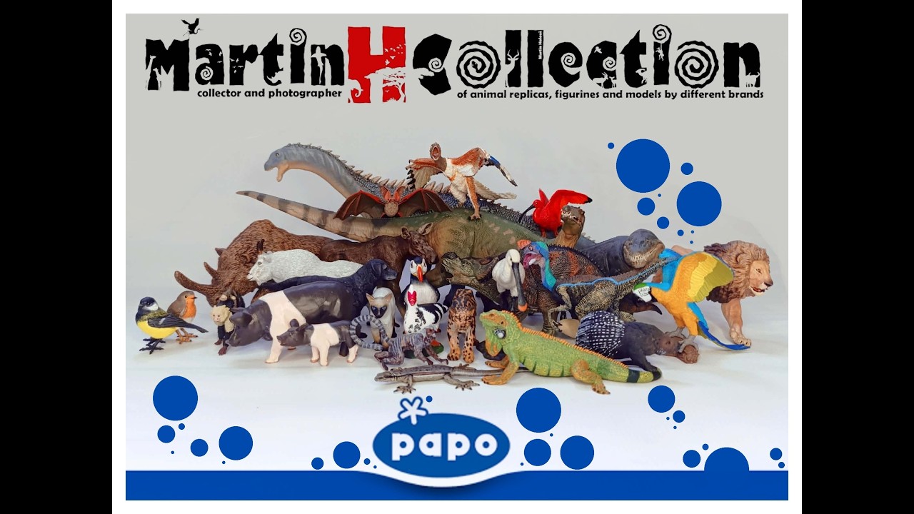 MartinH Collection - PAPO 2025 newcomers