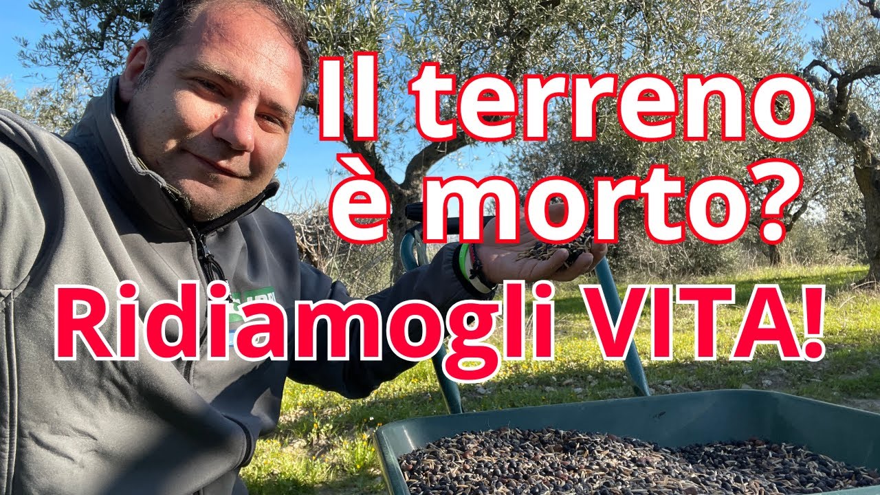 Metto questo nel terreno… e gli olivi esplodono!