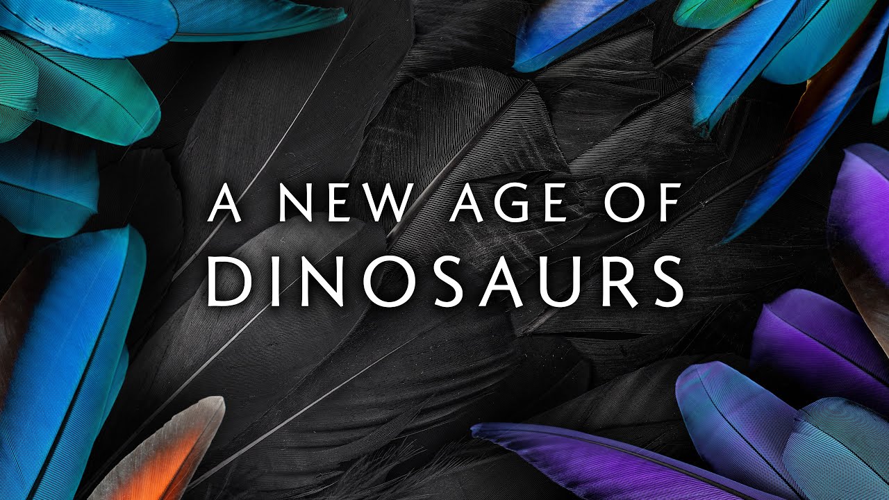 A New Age of Dinosaurs | A tribute to Birds