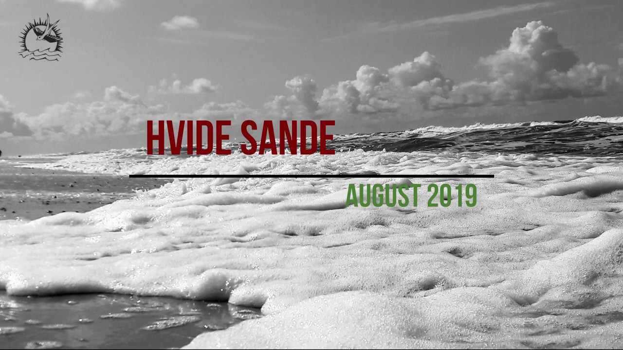 Surfing ꟾ Windsurfing ꟾ Ringkøbing Fjord ꟾ Hvide Sande ꟾ West Wind ꟾ August 2019