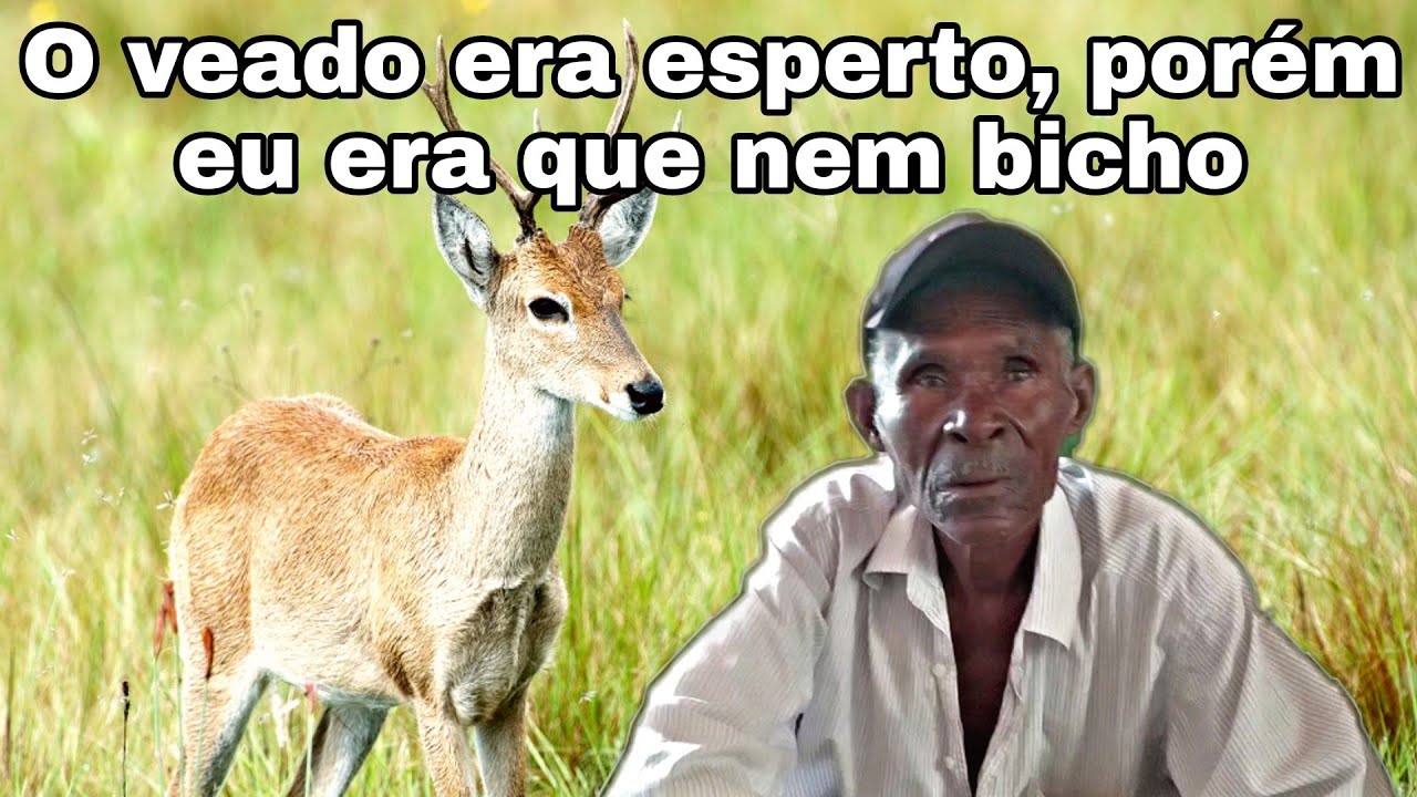 História de caçador - Caçada sensacional no meio do dia #causos #caçadas #veado