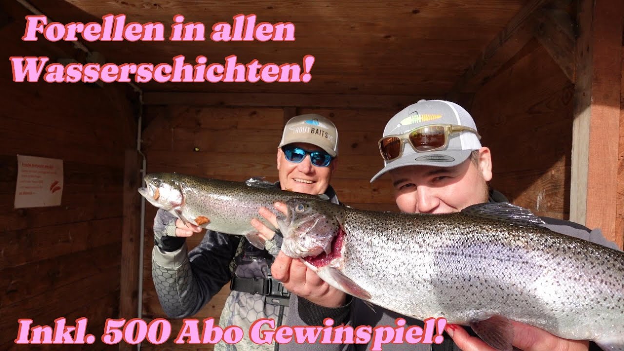 Forellenangeln an der Artländer Forellenzucht, UL Angeln mit Spoon und Gummi #lachsforelle