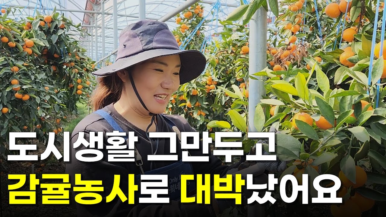 탈북후에 제주도로 귀농해서 연매출 4억 버는 40대 농부 | 휴먼스토리 | 30대자영업자이야기 | 직업의모든것 | 장사의신 | 사장님입니다 | 제주도 감귤농사